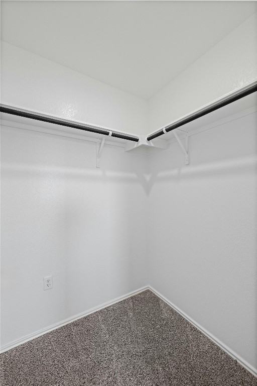 15216 Spruce Frost Cv #15216B - Photo 4 of 21