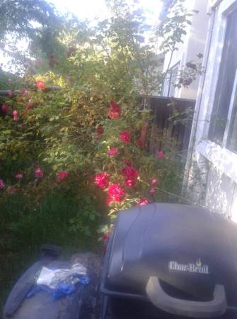 2114 Bailey Pl - Photo 7 of 8