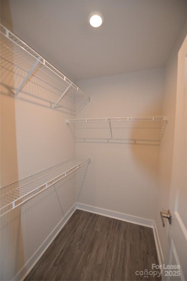 3724 Ellington St - Photo 2 of 23