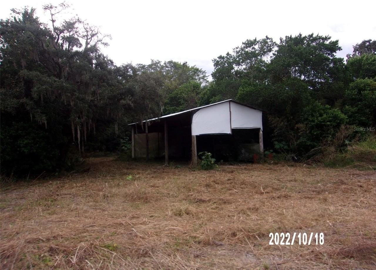 11105 Pinto Dr - Photo 7 of 18