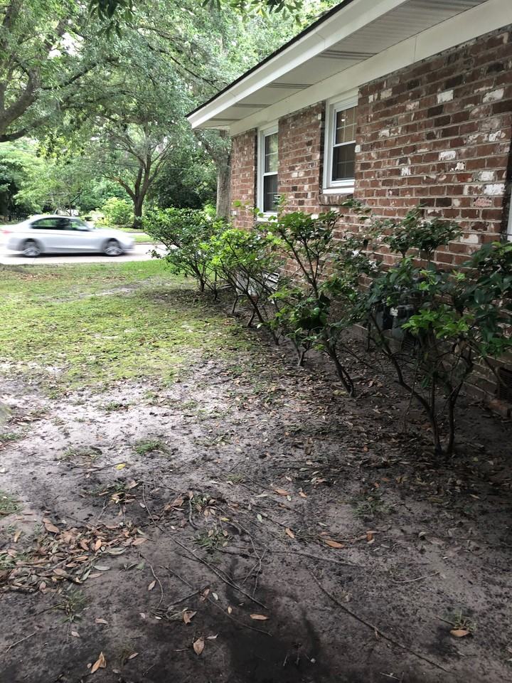 Abercorn Street - 4804 - Photo 7 of 18