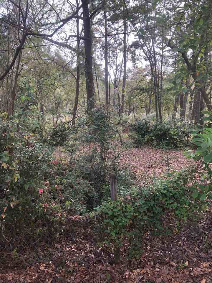 1965 Macon Ave - Photo 3 of 16