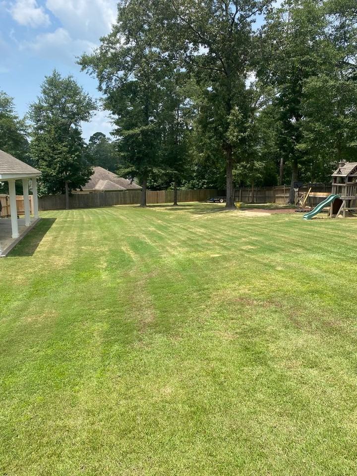 102 Whitetail Way - Photo 3 of 31