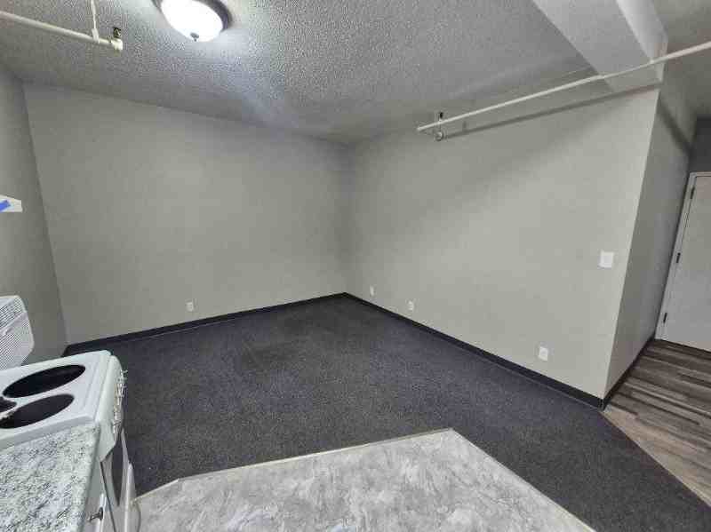 301 N Riverfront Dr #307 - Photo 2 of 9