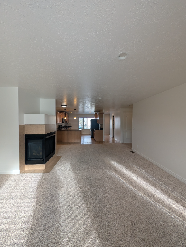 1320 E Lake Springs Ln - Photo 5 of 17