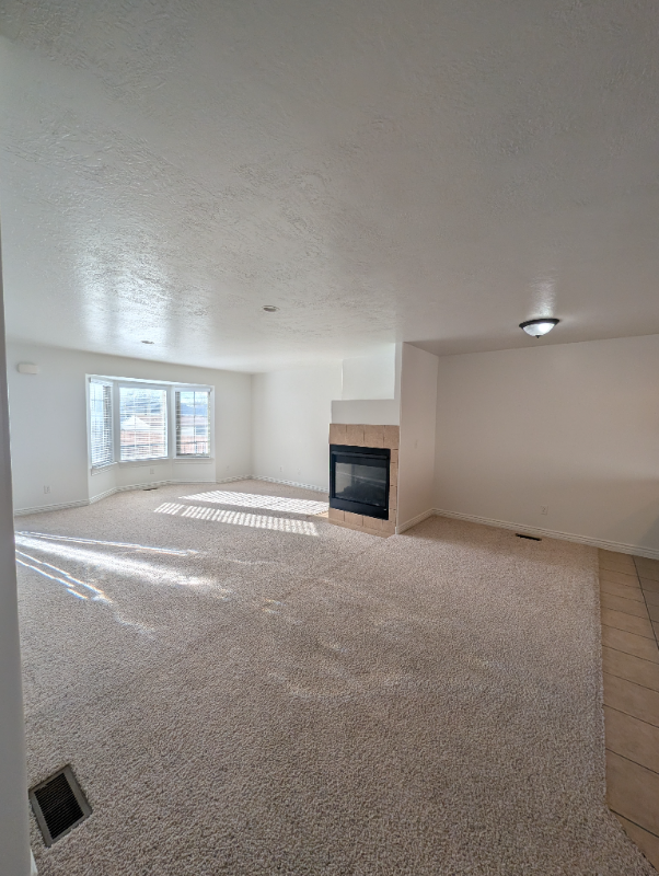 1320 E Lake Springs Ln - Photo 6 of 17