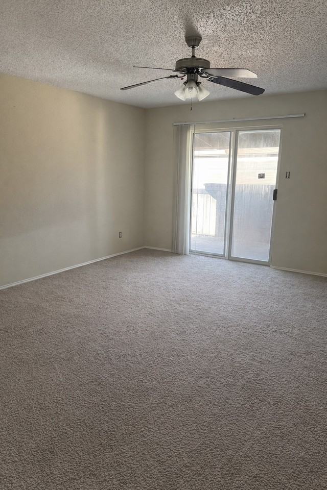 5922 Westcreek Dr - Photo 5 of 21