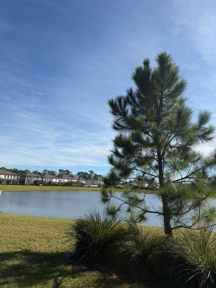 11377 Pixie Mandarin Ct - Photo 2 of 36