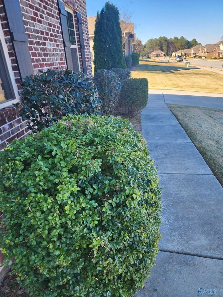 218 Dinner Tree Sq - Photo 7 of 27