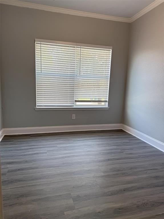 816 Meandering Trl - Photo 6 of 22