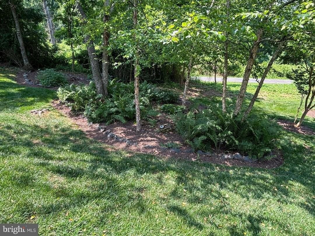 1918 Contralto Ct - Photo 2 of 50