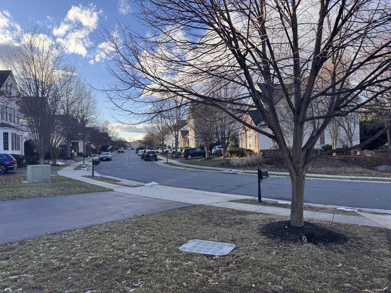 42485 Meadow Sage Dr - Photo 6 of 41