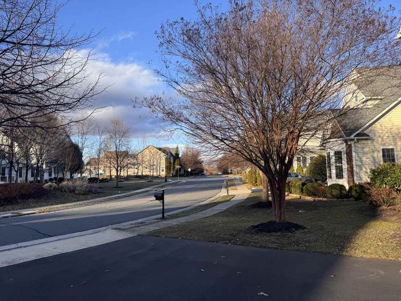 42485 Meadow Sage Dr - Photo 7 of 41