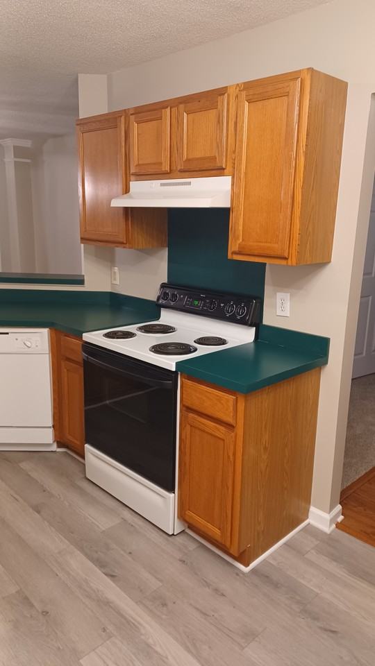 108 Dupont Way - Photo 4 of 20