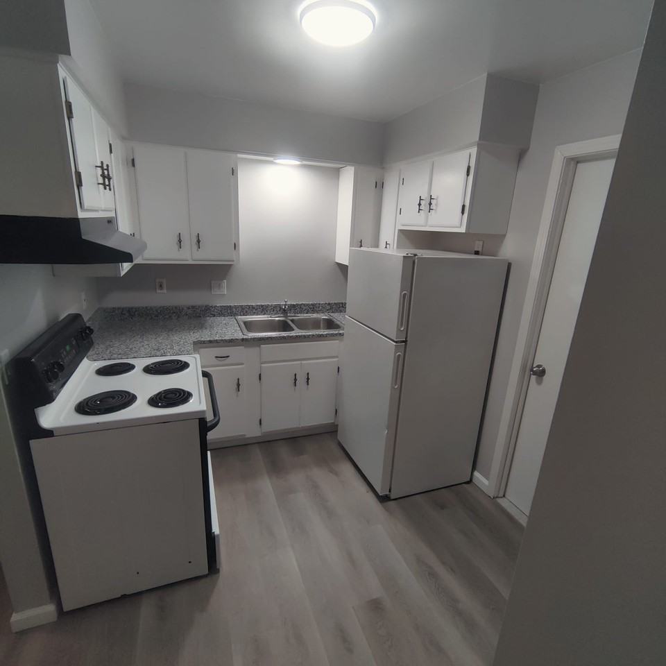 1200 Fruit St #F - Photo 4 of 8