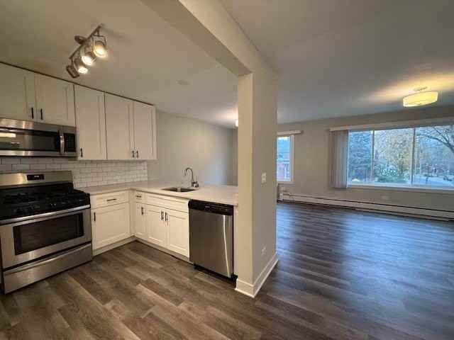 800 Graceland Ave Unit 302 #302 - Photo 7 of 16