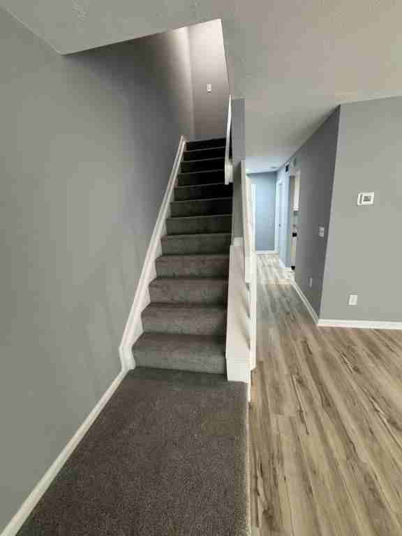 54 Apple Ln - Photo 5 of 13