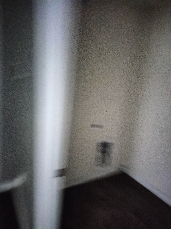 1982 Nottoway Woods Ln - Photo 4 of 14