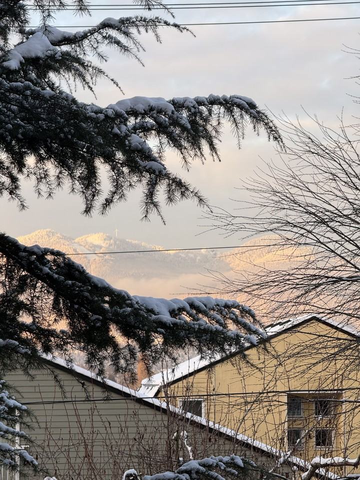 680 East 5th Avenue #213 - Photo 3 of 4