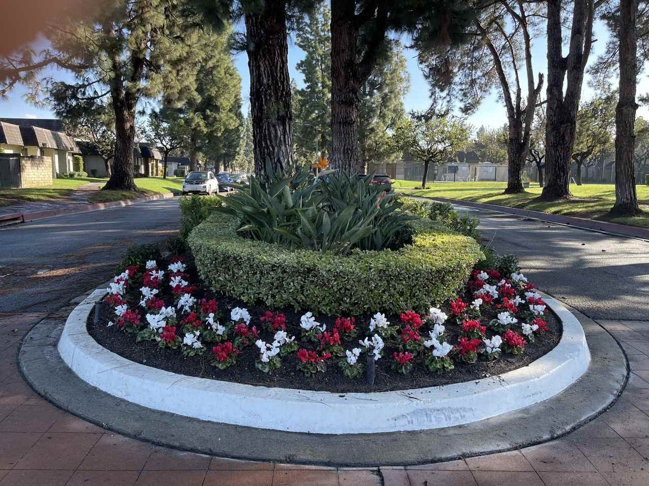 16026 Timberhill Ln #NA - Photo 3 of 19