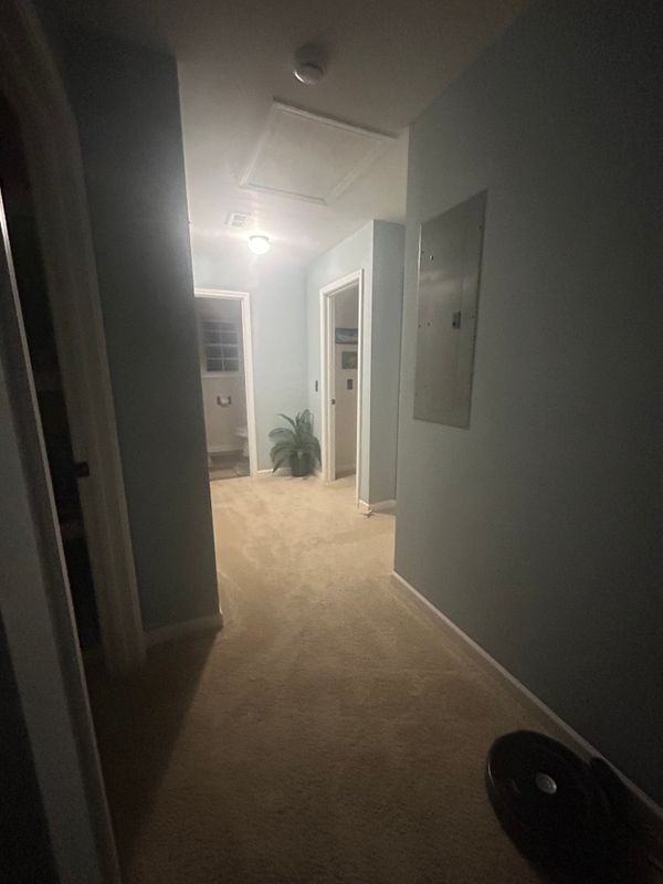 251 Margaret St - Photo 3 of 10