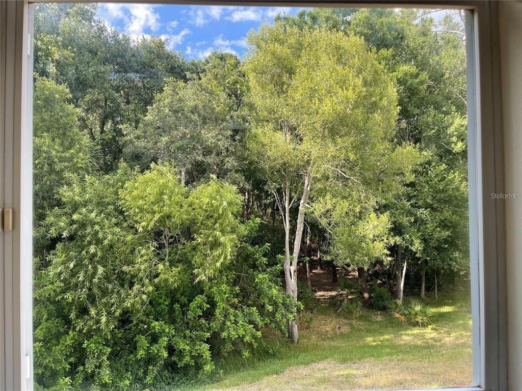 9003 Grand Bayou Ct #9003 - Photo 5 of 6