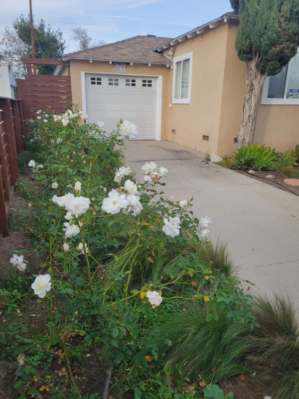 17565 Bullock St - Photo 7 of 50