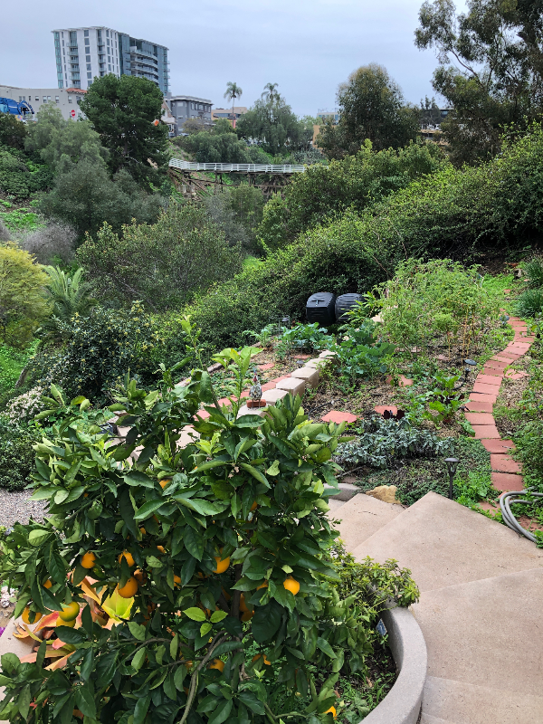 3065 3rd Ave #1 - Photo 3 of 12