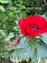 1427A N Hawley Rd - Photo 1 of 1