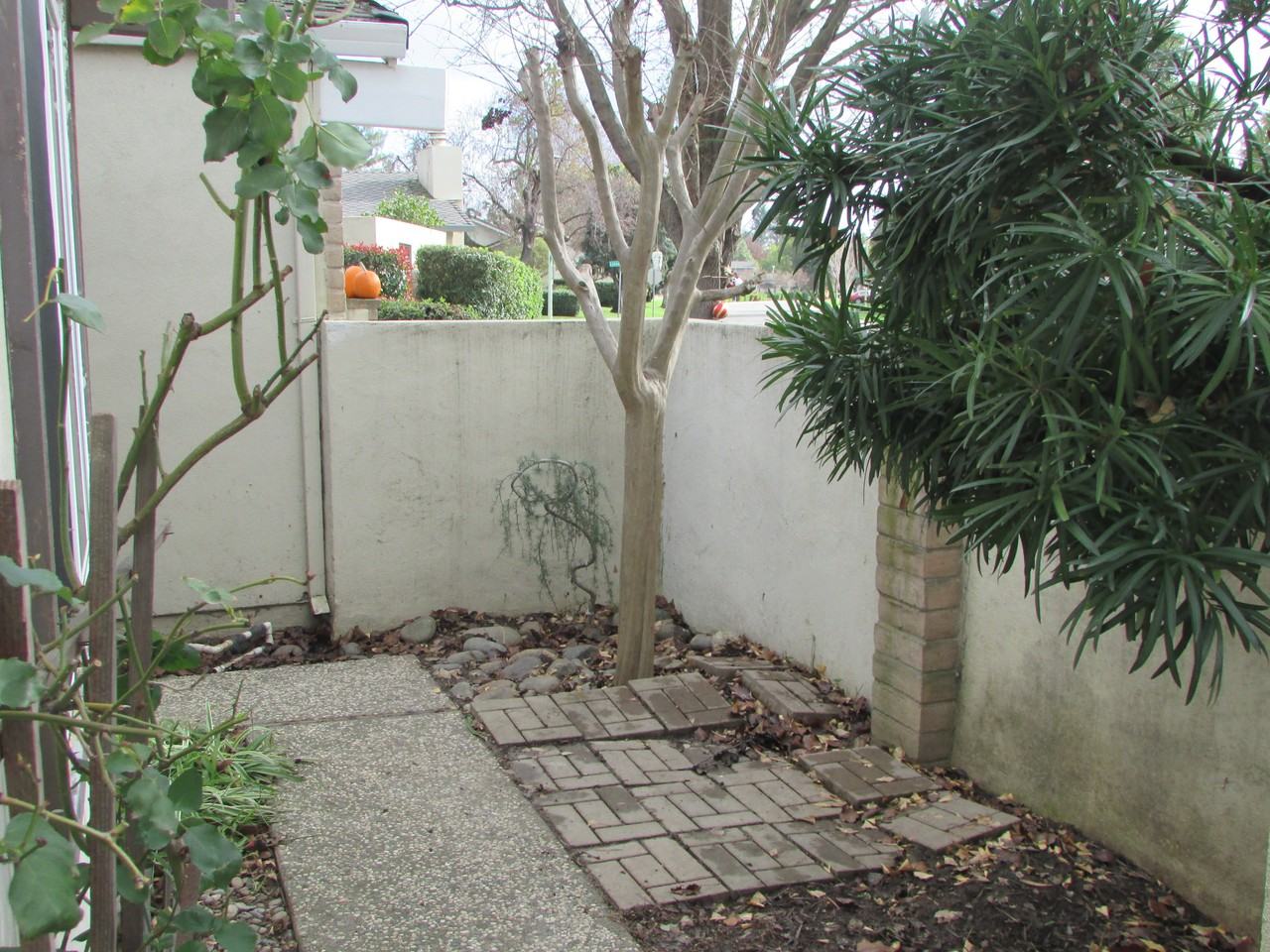 107 Petrilli Cir #NA - Photo 5 of 29