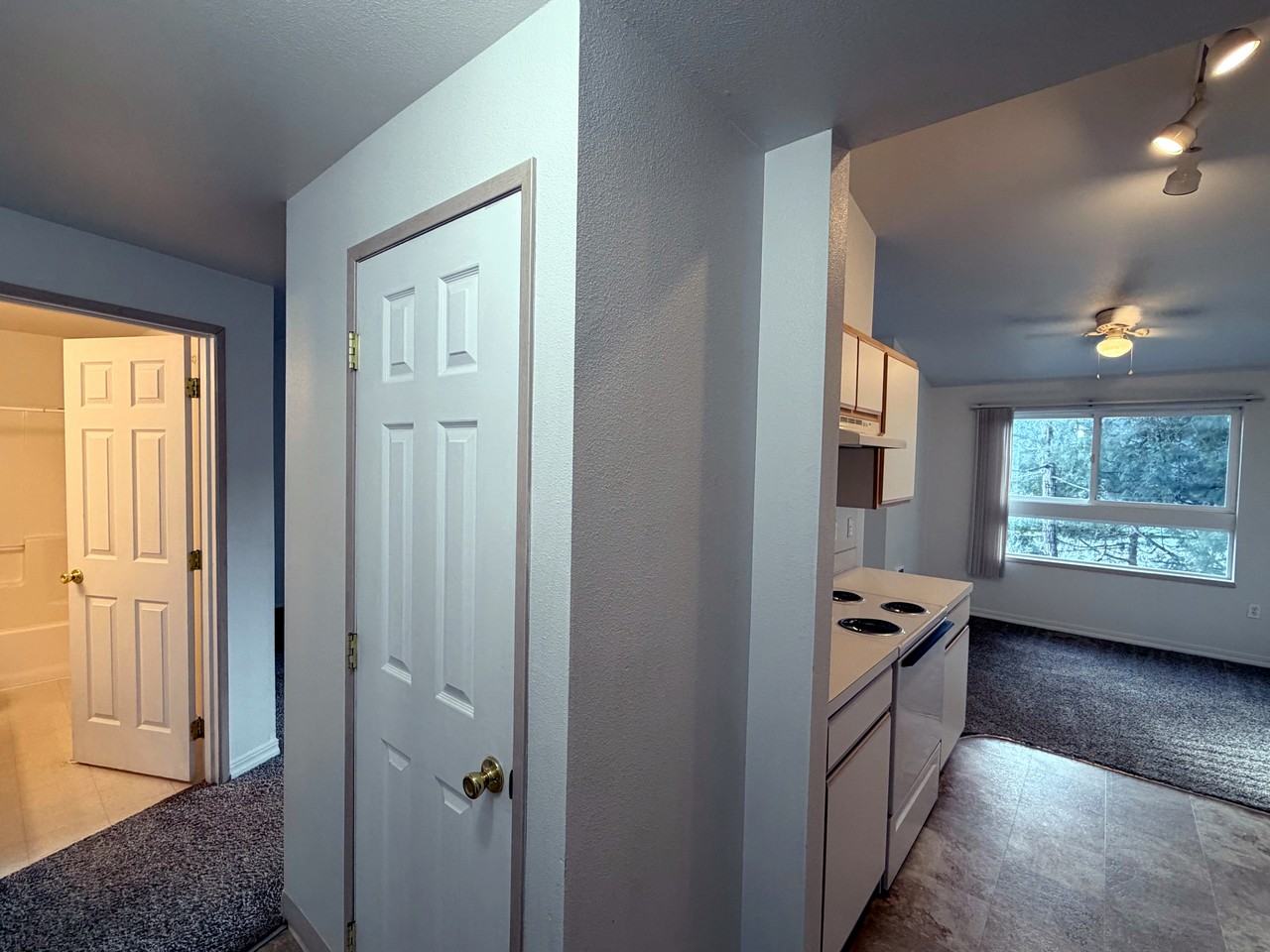 4785 Skyline Road South - Photo 4 of 46