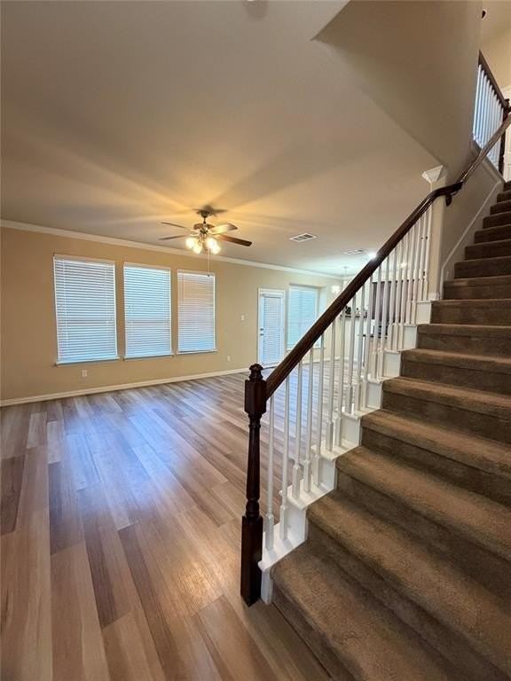 4151 Nia Dr - Photo 2 of 19