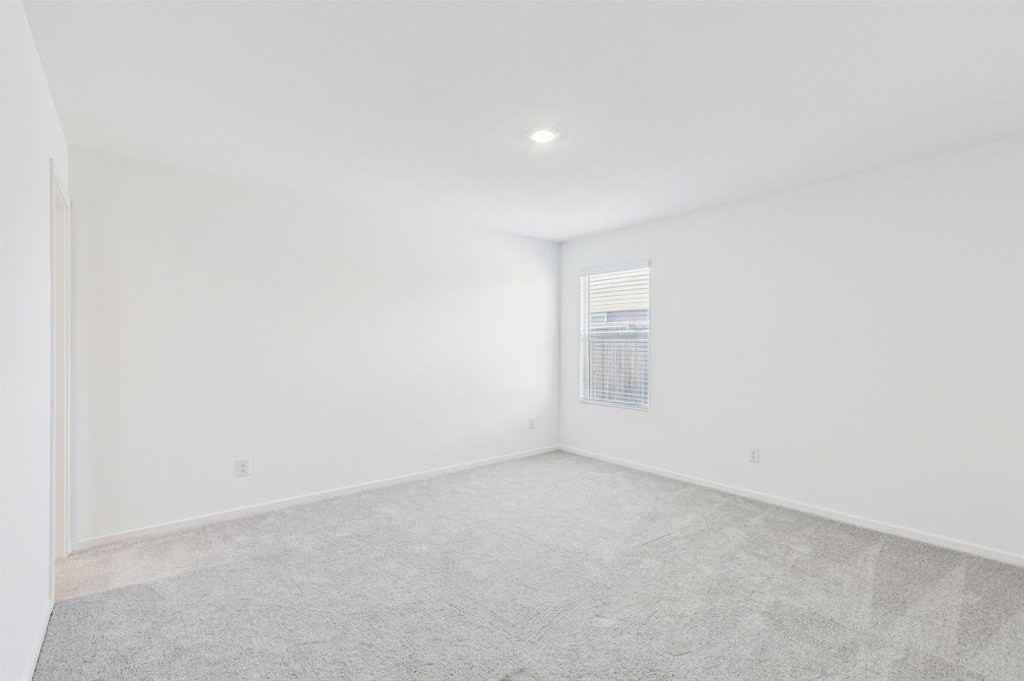 11811 Mancos Trail - Photo 6 of 17