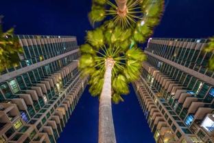 1199 Pacific Hwy Unit 1204 #1204 - Photo 1 of 1