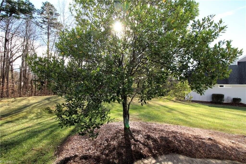 28 Cedar Knoll Dr - Photo 6 of 33