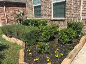 620 Calliopsis St #620 - Photo 1 of 1