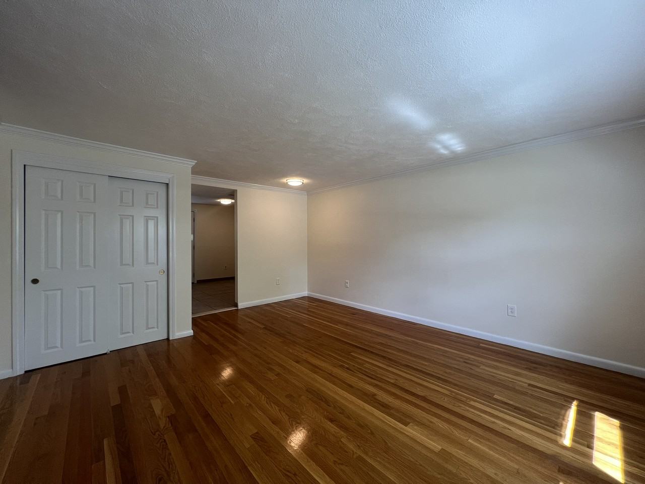 249 Bridge St #249 - Photo 4 of 12