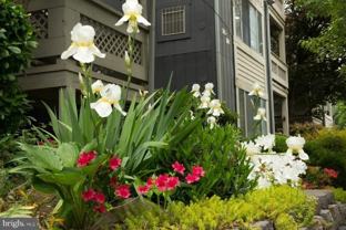 916 Windbrooke Dr Unit 916 #916 - Photo 1 of 1