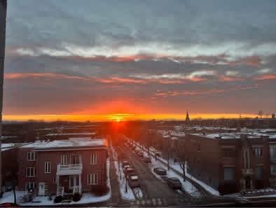 3355 Boulevard Rosemont #14 - Photo 4 of 17