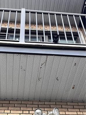 3355 Boulevard Rosemont #14 - Photo 6 of 17