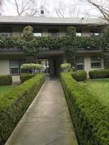 Courtyard at Pacific - Photo 1 of 1