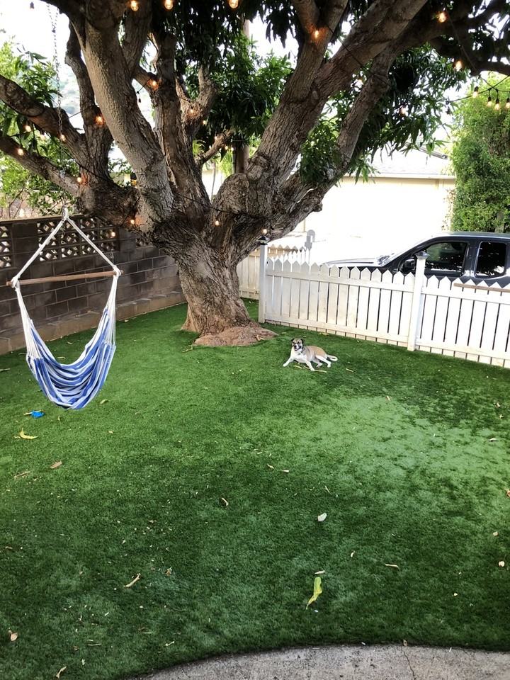 938 Punahele Pl - Photo 2 of 9