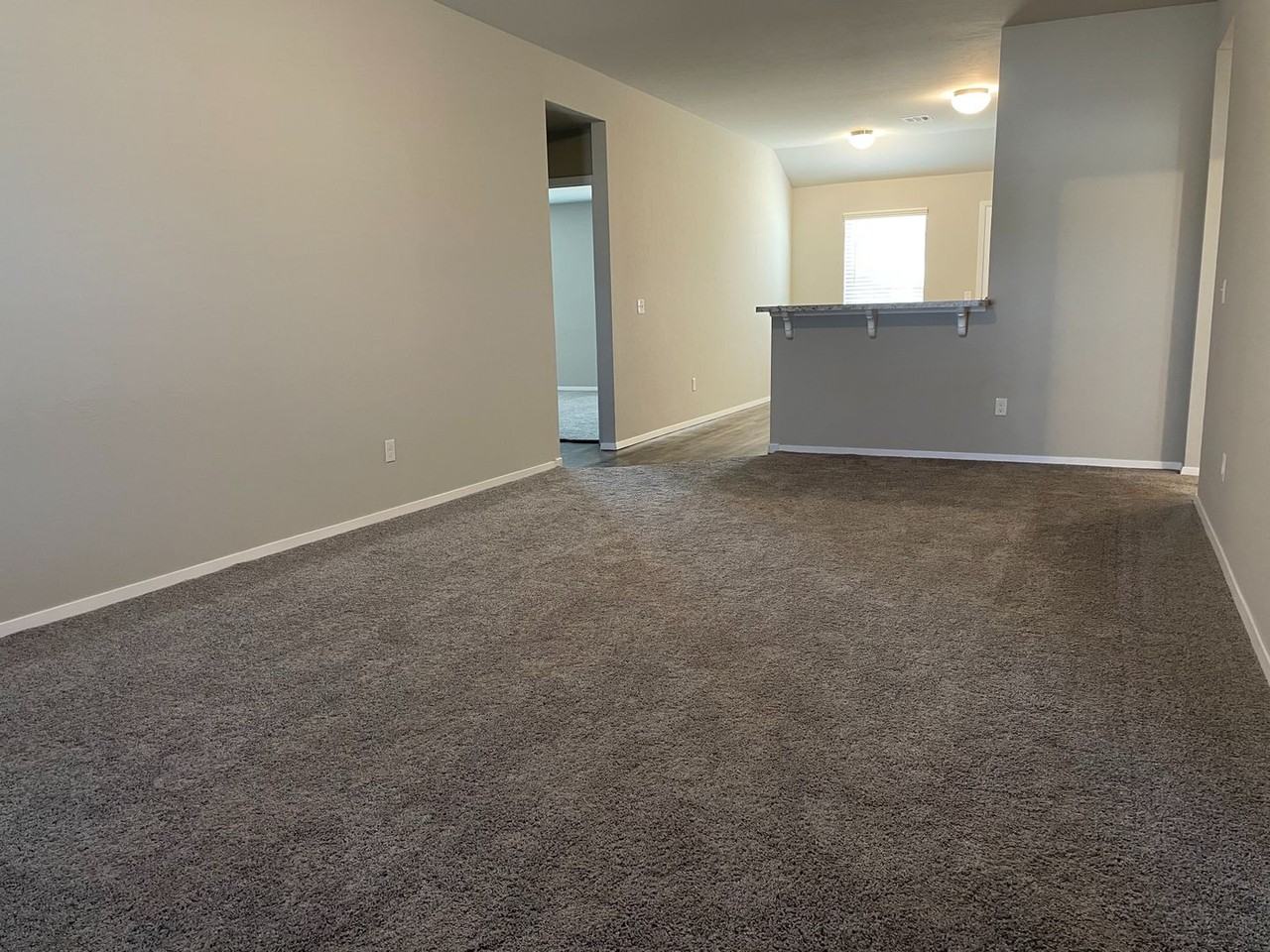 1829 Jack Rabbit Ln - Photo 3 of 23