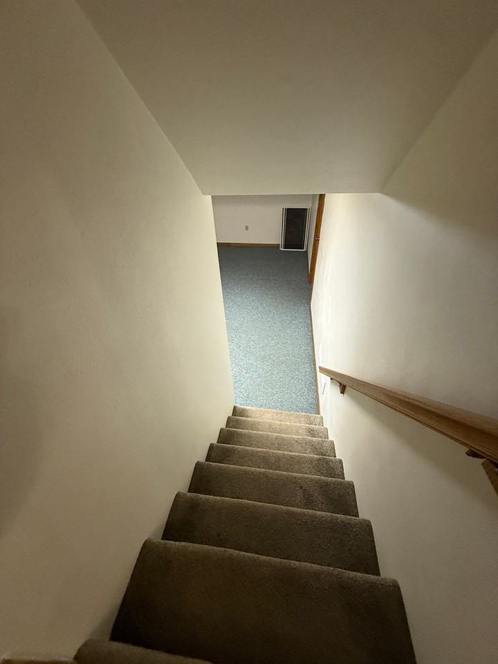 3823 W Lombard St - Photo 4 of 18