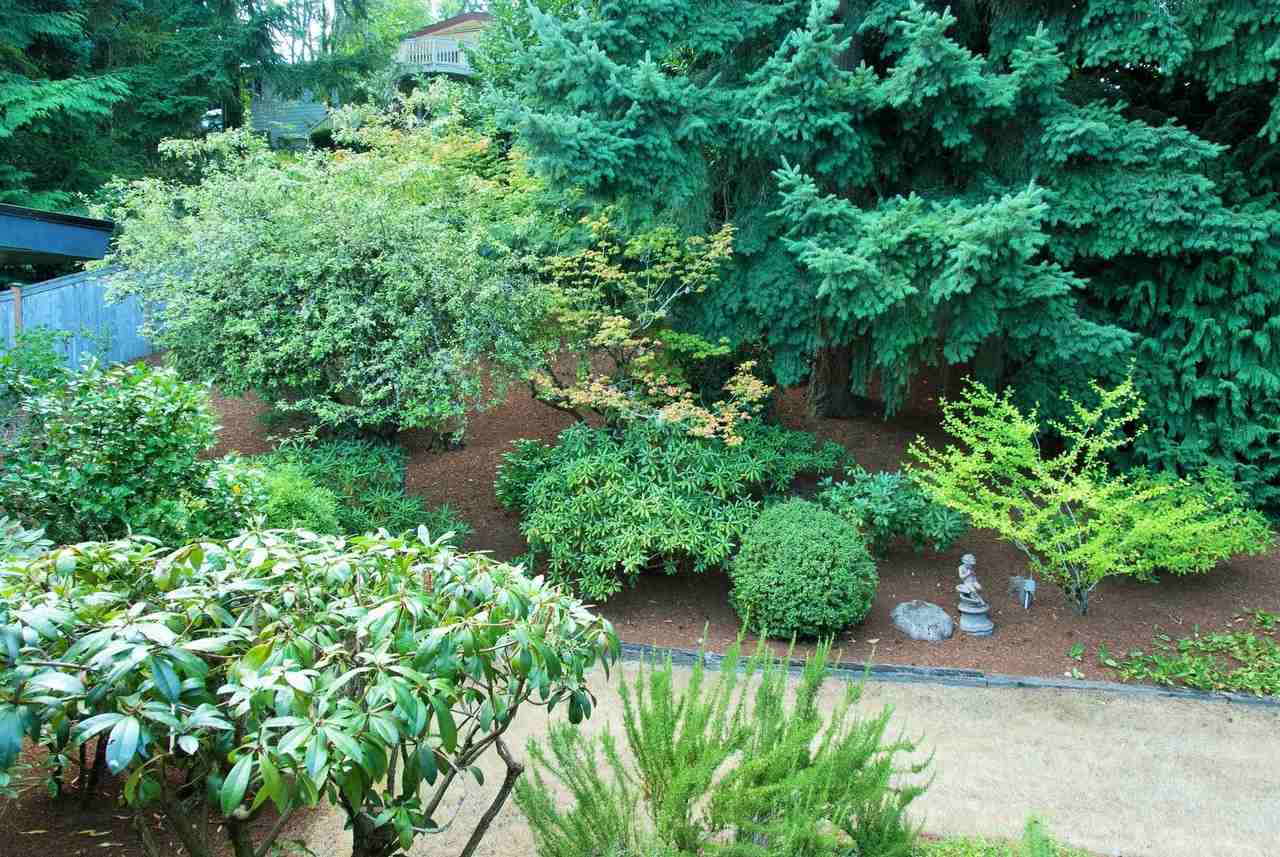 2919 129th Ave Ne - Photo 5 of 7