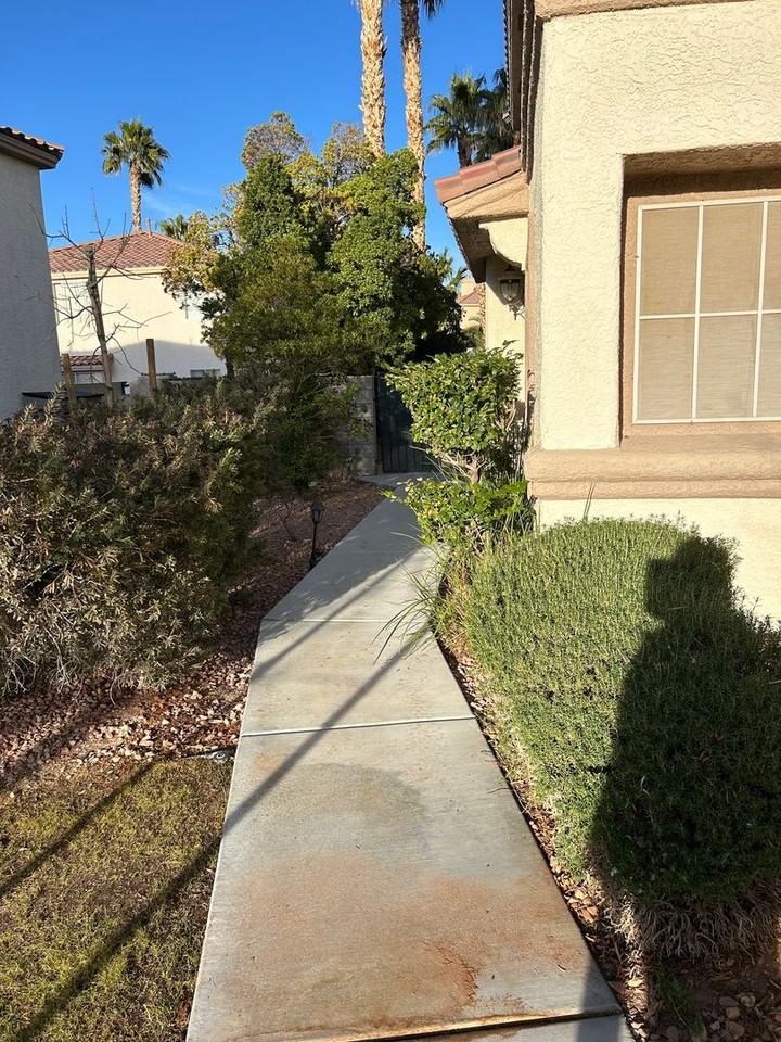 1136 Scenic Crest Dr - Photo 3 of 29