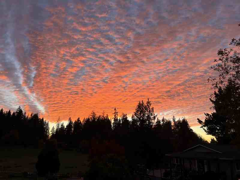 2804 Nw 199th St - Photo 6 of 15