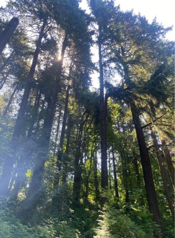 2804 Nw 199th St - Photo 7 of 15