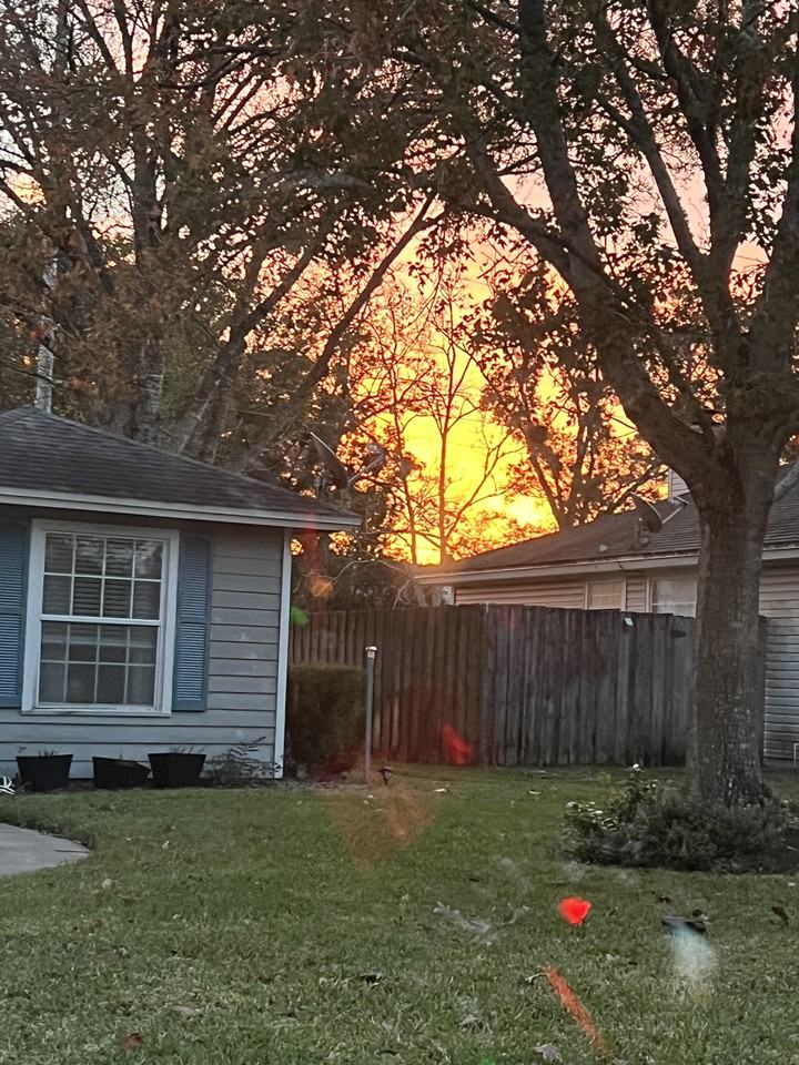 11097 Barbizon Cir E #NA - Photo 5 of 14