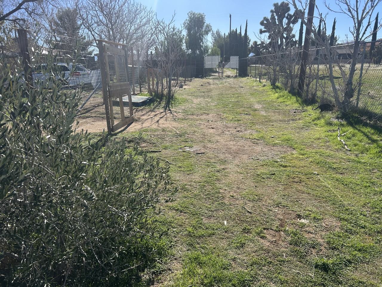 1539 W Avenue L8 #NA - Photo 7 of 11